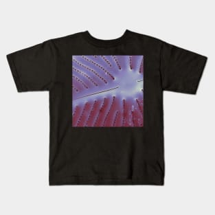 Diatom - Placoneis in SEM (internal, metallic) Kids T-Shirt